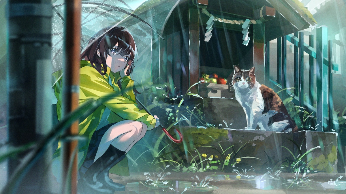 爷爷养过的猫