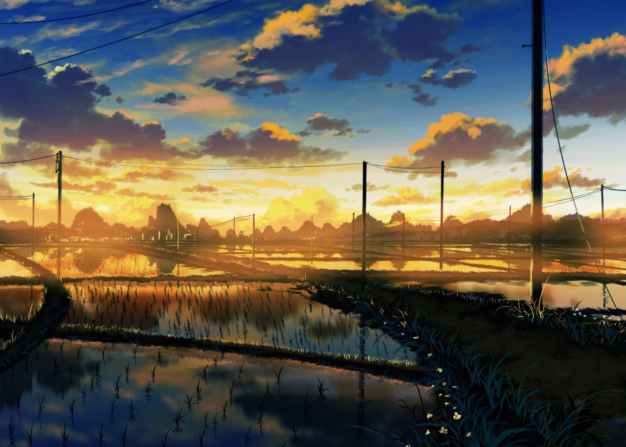 画师JW - 夜明けの水田
