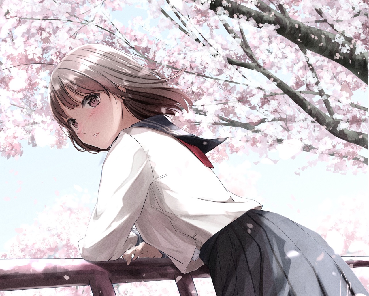 樱が咲き始めました。どうかこの素敌な季节が长く続きますように。 - 空钟