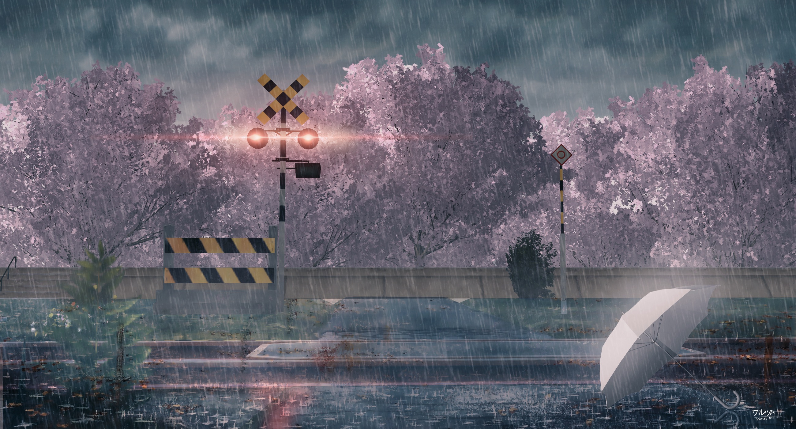 8月的雨