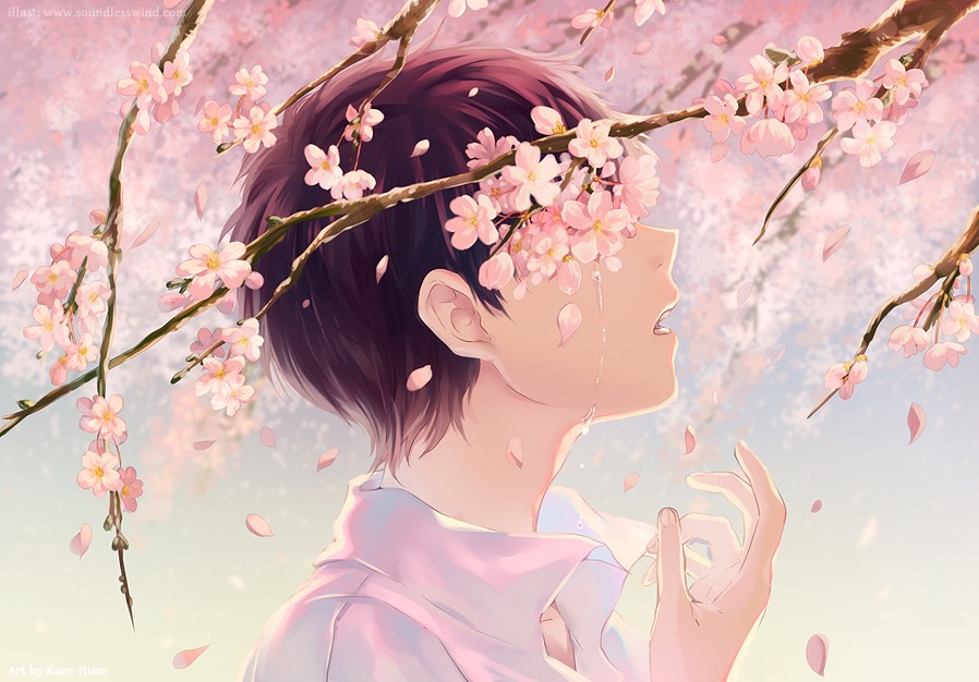 樱花谢了