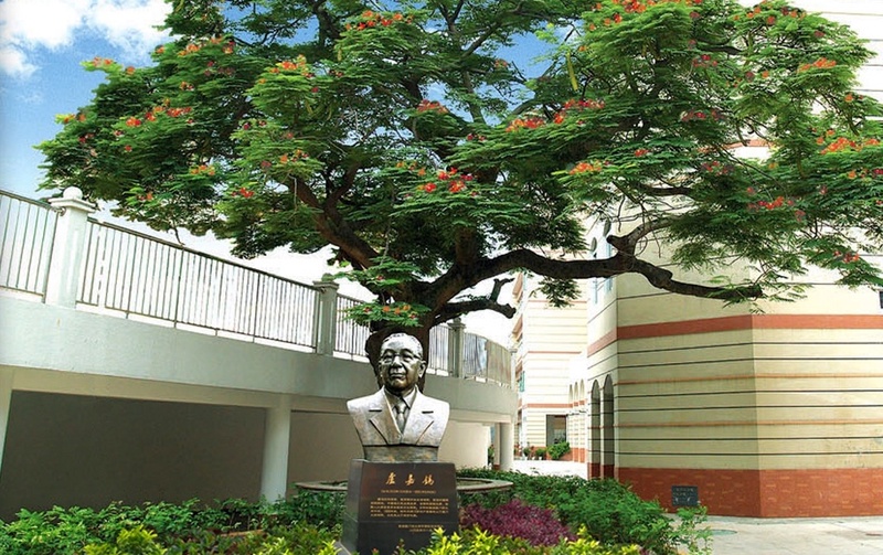 凤凰花开 - 厦门大学中学卢嘉锡雕像